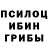 Псилоцибиновые грибы GOLDEN TEACHER telnaire