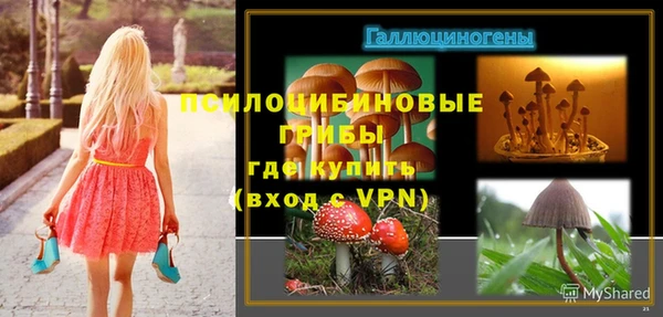 дурь Чердынь