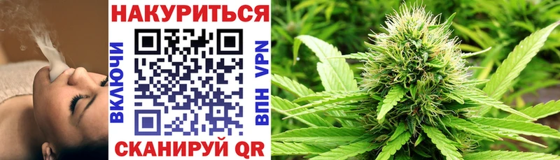 Каннабис планчик где купить наркоту Сальск