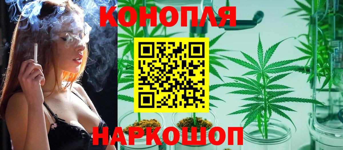 Конопля Amnesia  Вход с VPN  Шишки марихуана индика  Сальск  Конопля планчик 